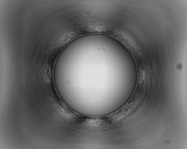 X0000098190414200805011128