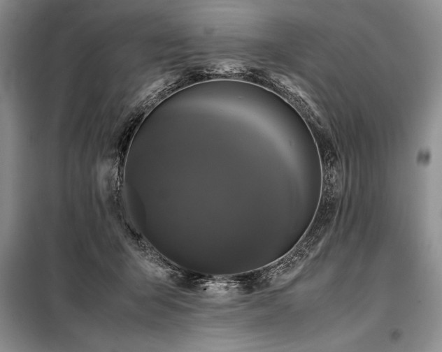 X0000098190415200805011128