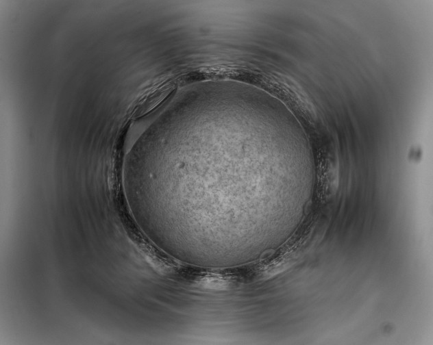 X0000098190416200805011128