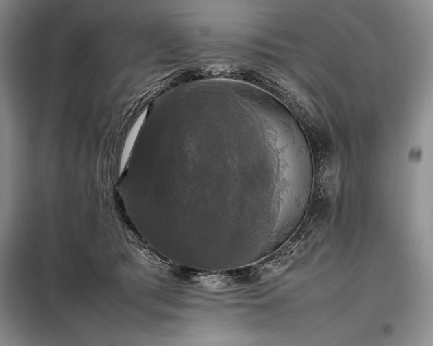 X0000098190417200805011128