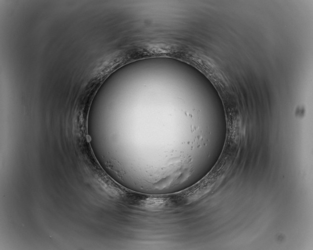 X0000098190418200805011128