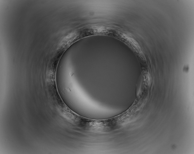 X0000098190419200805011128