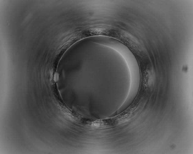 X0000098190420200805011128