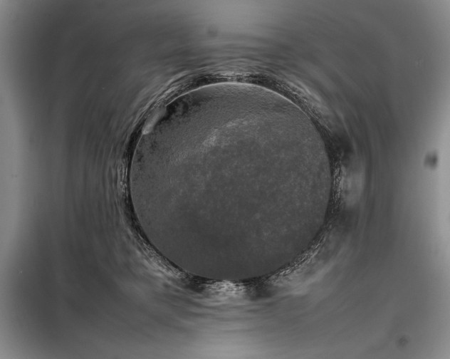 X0000098190421200805011128