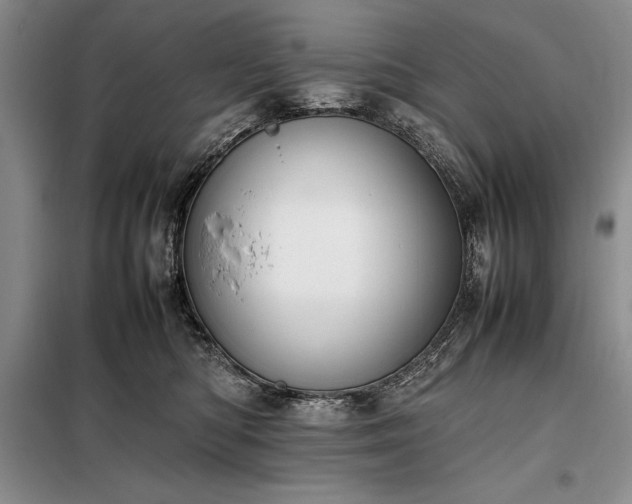 X0000098190422200805011128