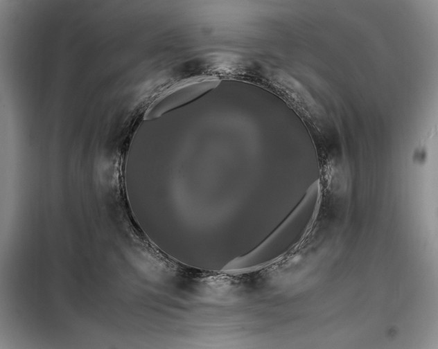 X0000098190423200805011128