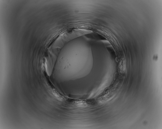 X0000098190424200805011128