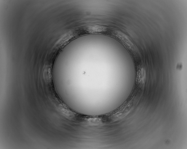 X0000098190426200805011128