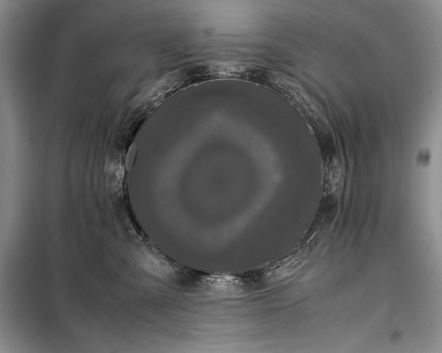 X0000098190427200805011128