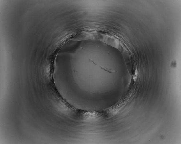 X0000098190428200805011128