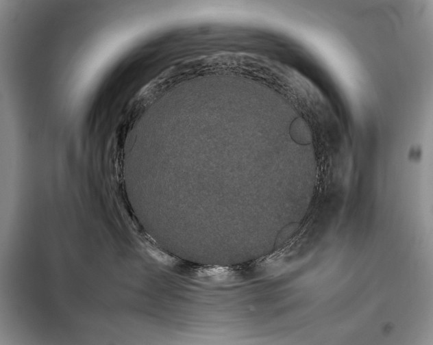 X0000098190431200805011128