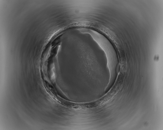 X0000098190434200805011127