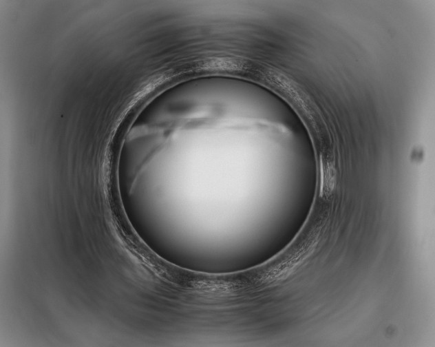X0000098190435200805011127