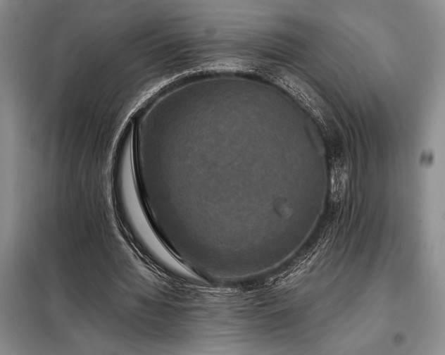 X0000098190436200805011127