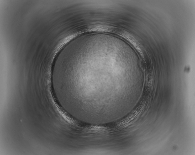 X0000098190437200805011127