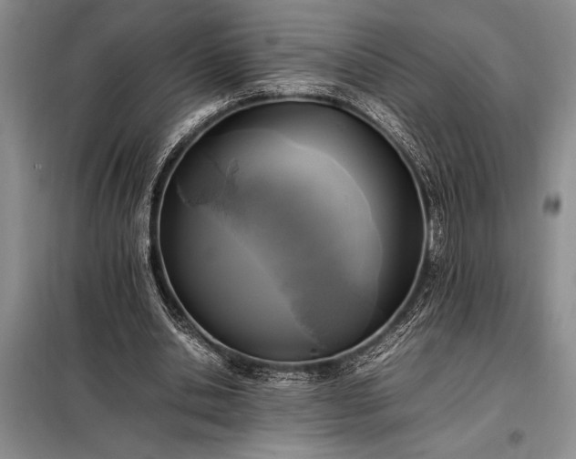 X0000098190438200805011127