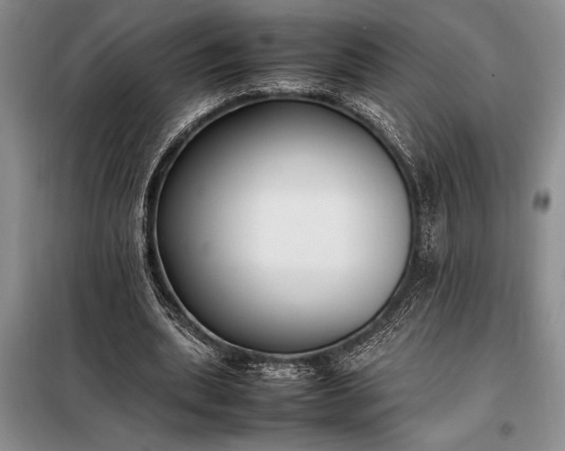X0000098190439200805011127