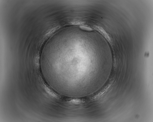 X0000098190441200805011127