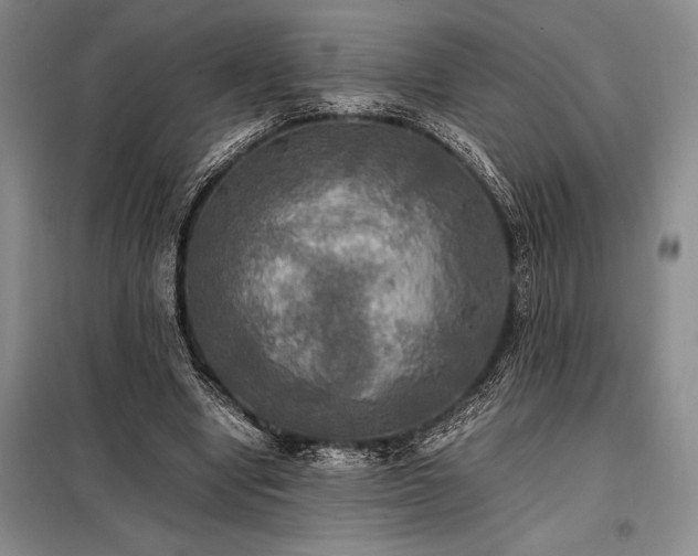 X0000098190442200805011127
