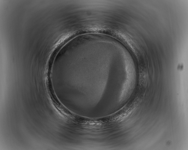 X0000098190443200805011127