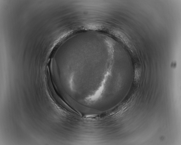 X0000098190444200805011127