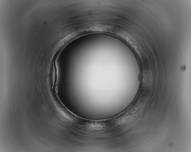 X0000098190445200805011127