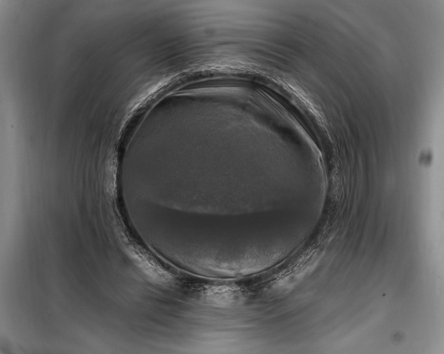 X0000098190446200805011127