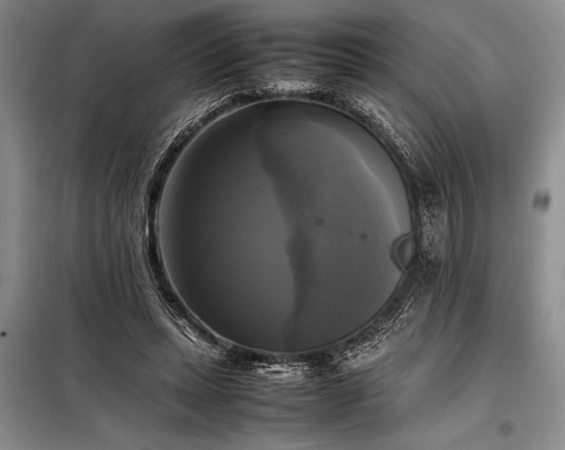 X0000098190447200805011127