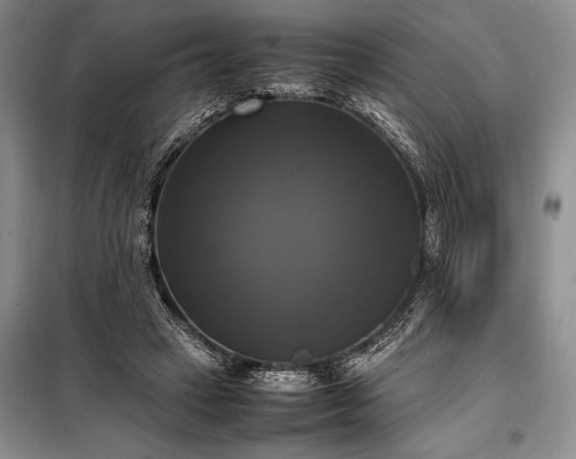X0000098190449200805011127