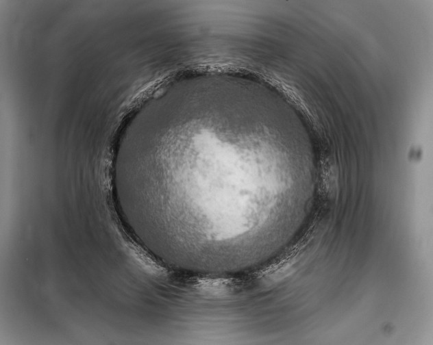 X0000098190450200805011127
