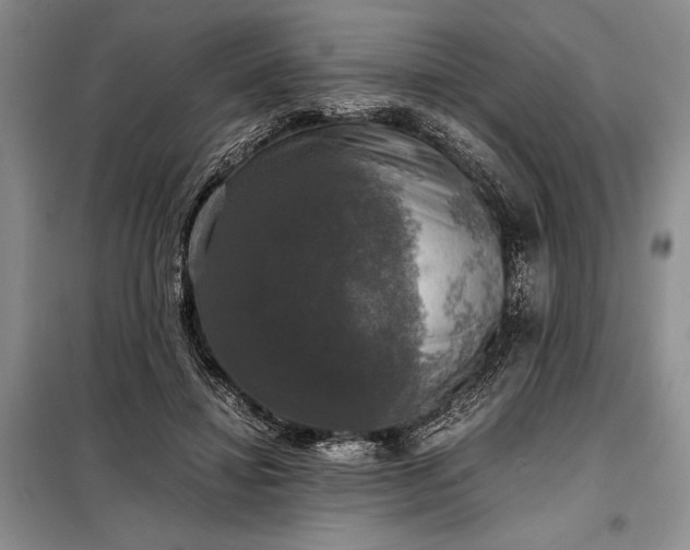 X0000098190452200805011127