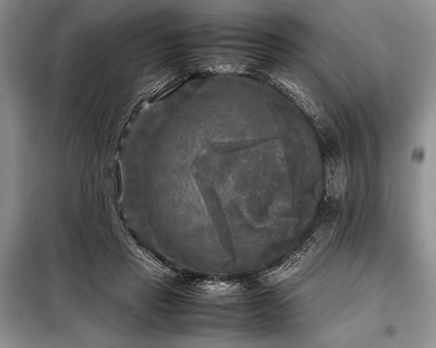X0000098190453200805011127