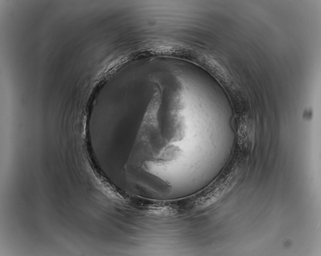 X0000098190454200805011127