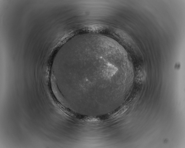 X0000098190456200805011127