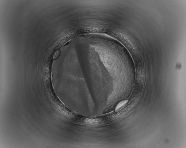X0000098190457200805011127