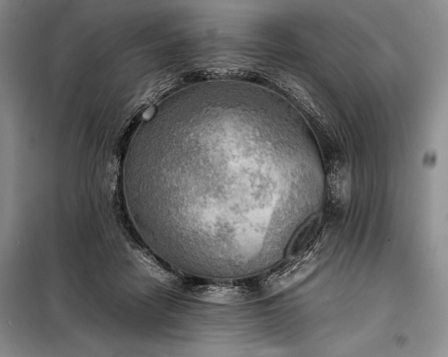 X0000098190458200805011127