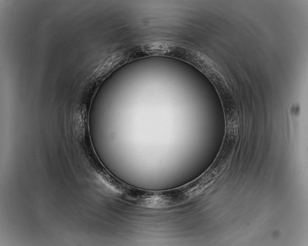 X0000098190460200805011127