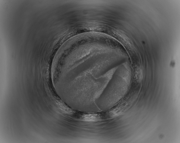 X0000098190461200805011127
