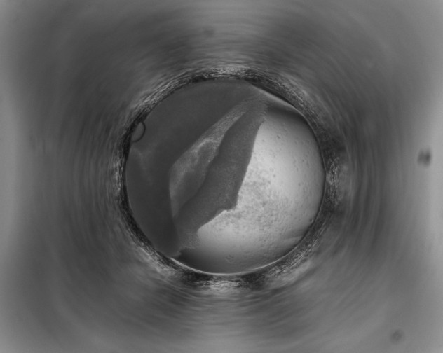 X0000098190462200805011127