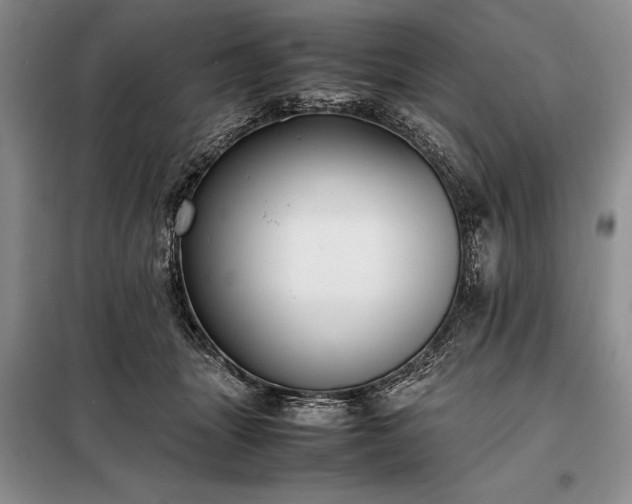 X0000098190463200805011127