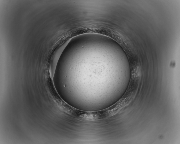 X0000098190464200805011127