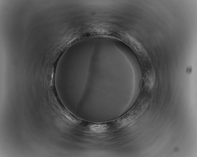 X0000098190465200805011127