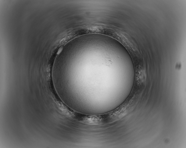X0000098190466200805011127