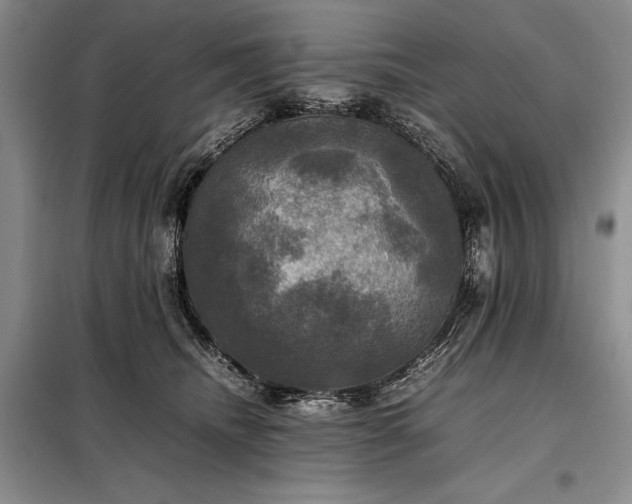 X0000098190468200805011127