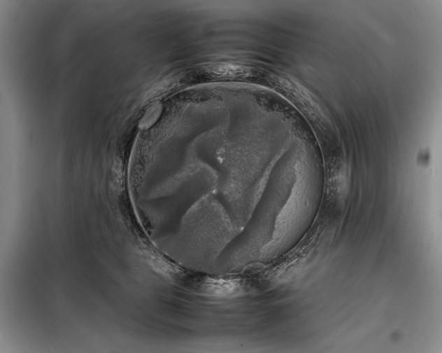 X0000098190469200805011127