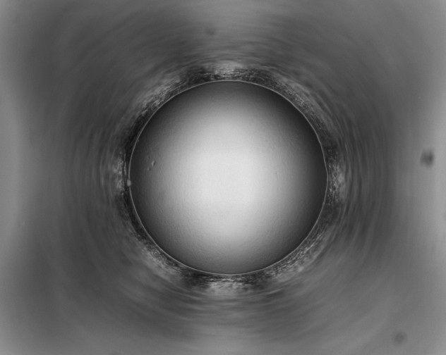 X0000098190470200805011127