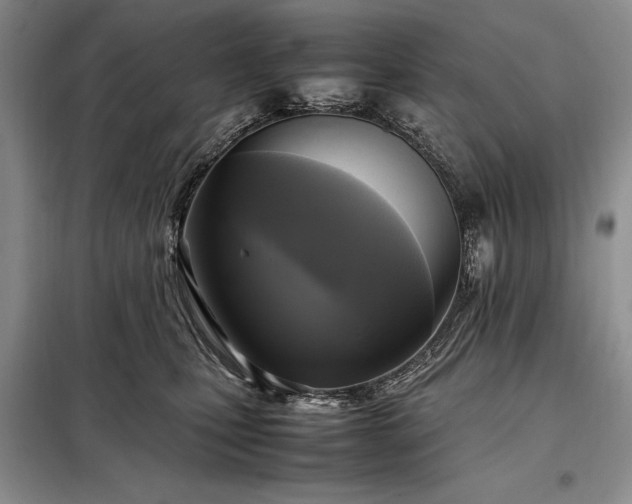 X0000098190471200805011127
