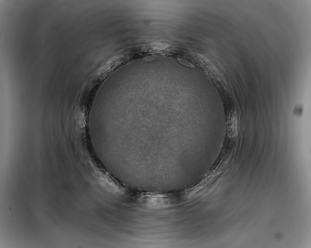 X0000098190472200805011127