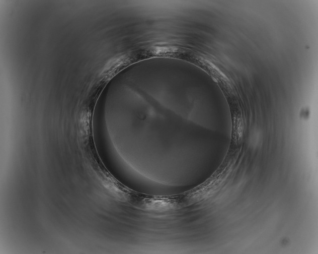 X0000098190475200805011128