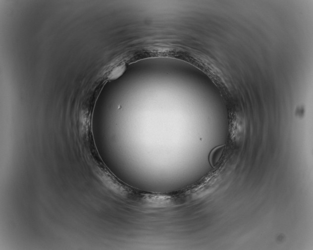 X0000098190476200805011128